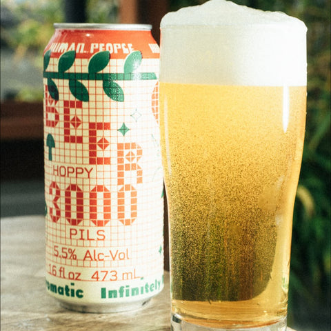 Human People - Beer 3000